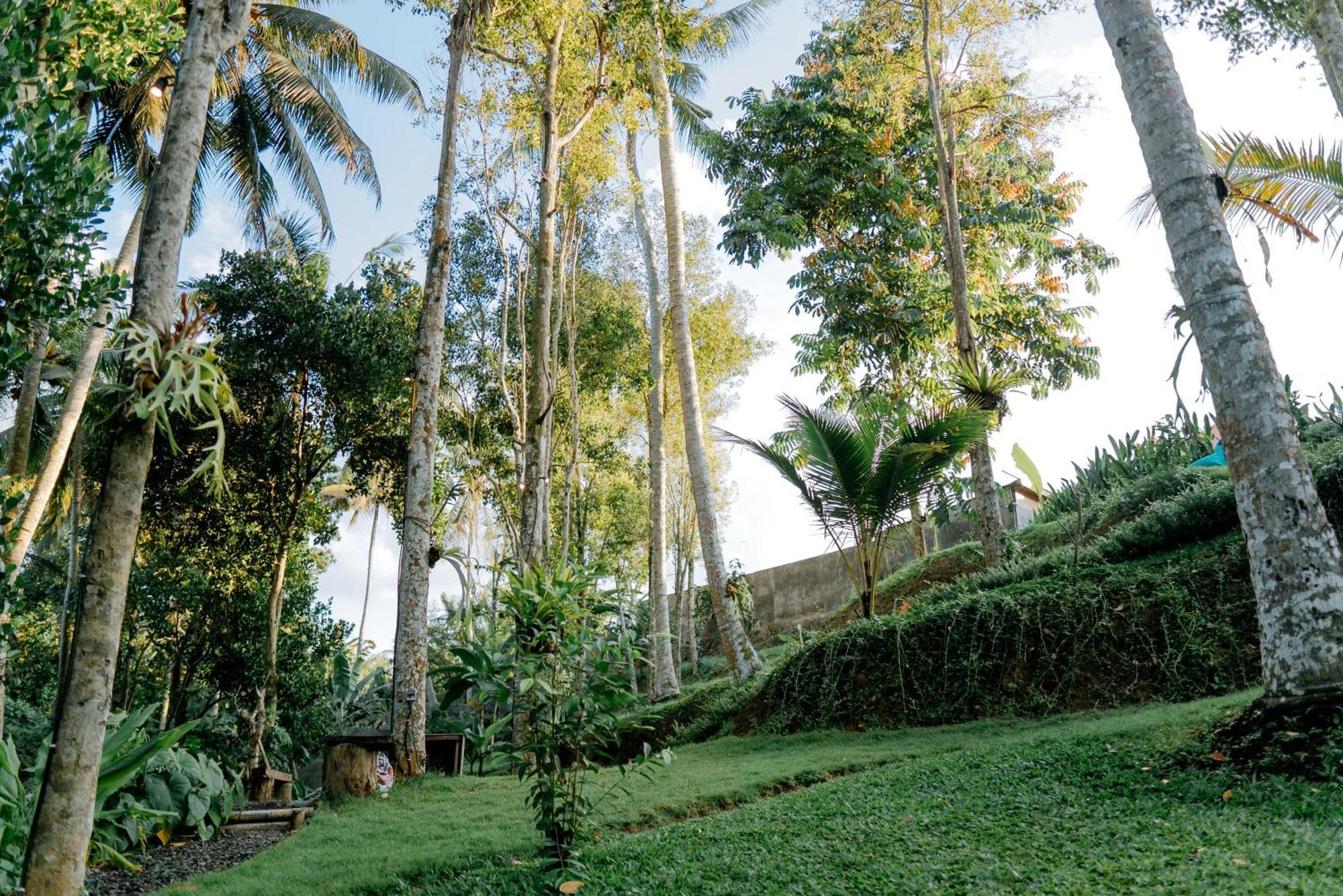 Hotel Bali Made Escape Payangan Exterior foto
