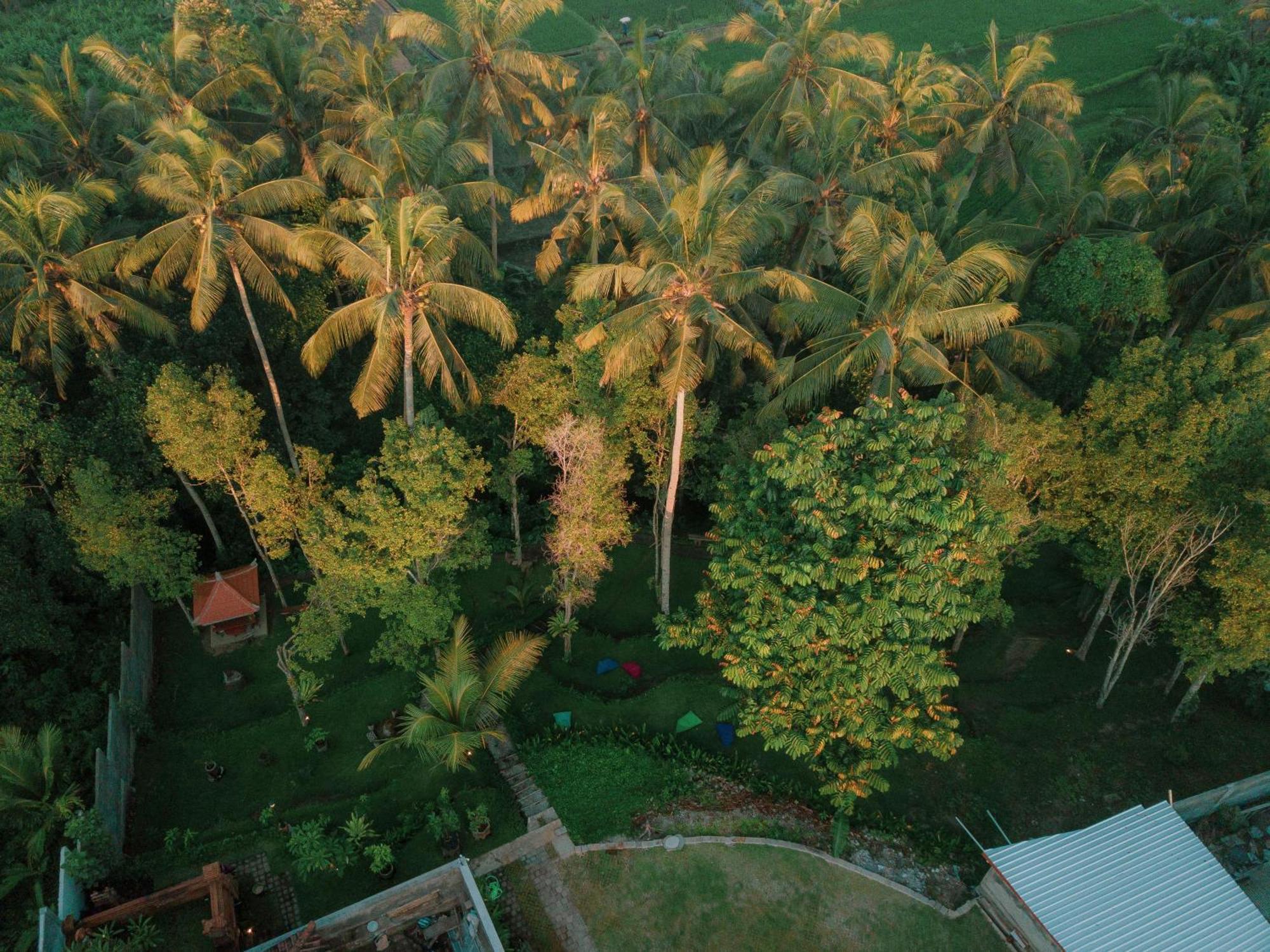Hotel Bali Made Escape Payangan Exterior foto